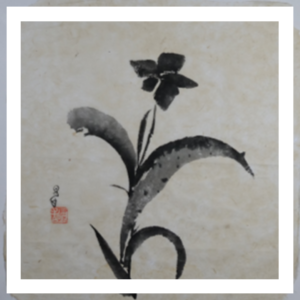 ดอกไม้ 1988