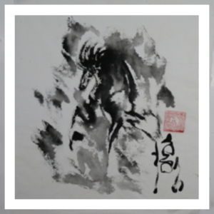 ม้า Zen 2009